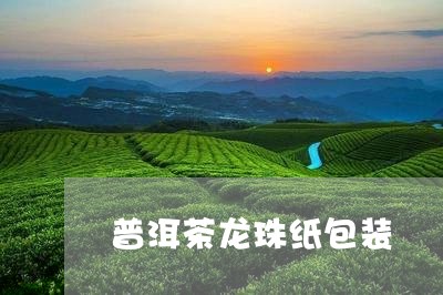 普洱茶龙珠纸包装/2023041296161