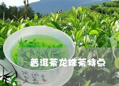 普洱茶龙珠茶特点/2023031717361