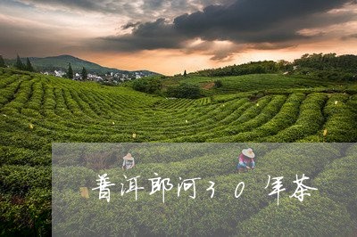 普洱郎河30年茶/2023032926273