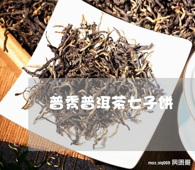 普秀普洱茶七子饼/2023033067351