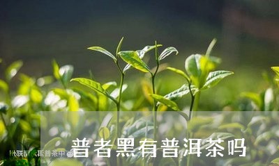 普者黑有普洱茶吗/2023041309692