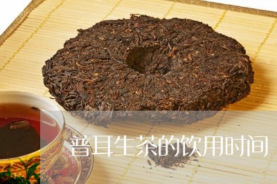 普耳生茶的饮用时间/2023032256459