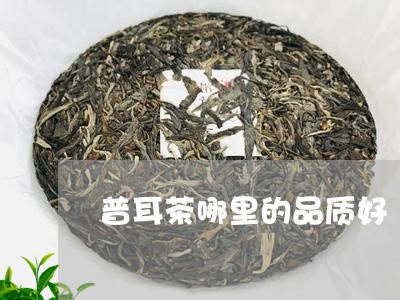 普耳茶哪里的品质好/2023032148492