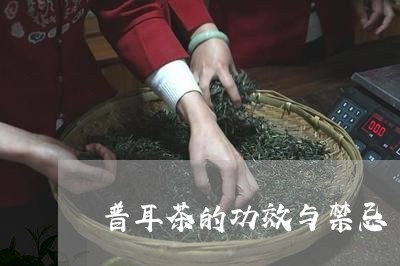 普耳茶的功效与禁忌/2023032135251