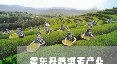 景东县普洱茶产业/2023040916140