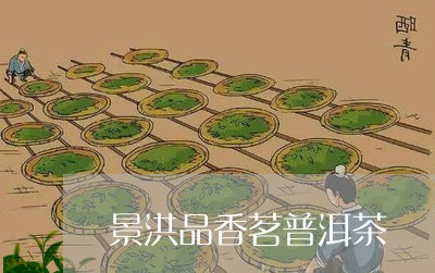 景洪品香茗普洱茶/2023041003706