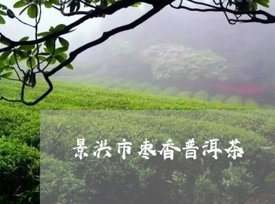 景洪市枣香普洱茶/2023033147481