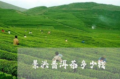 景洪普洱茶多少钱/2023041349282