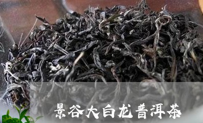 景谷大白龙普洱茶/2023041012946