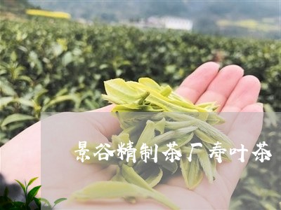 景谷精制茶厂寿叶茶/2023032088351