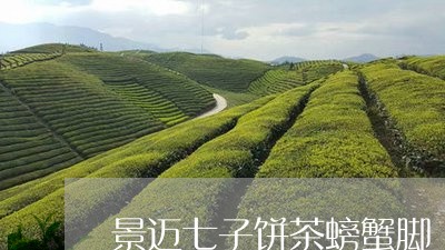 景迈七子饼茶螃蟹脚/2023041620493