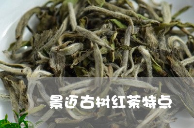 景迈古树红茶特点/2023032592736