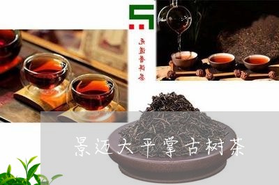 景迈大平掌古树茶/2023032677373