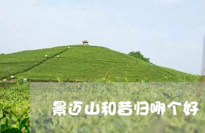 景迈山和昔归哪个好/2023041405949