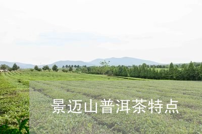 景迈山普洱茶特点/2023031842626