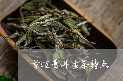 景迈普洱生茶特点/2023041404026