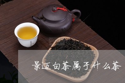 景迈白茶属于什么茶/2023041754933