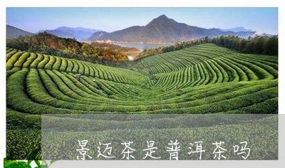 景迈茶是普洱茶吗/2023031816261