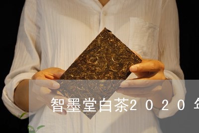 智墨堂白茶2020年茶饼/2023033038392