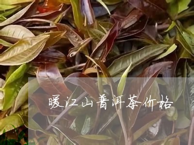 暖江山普洱茶价格/2023041036928