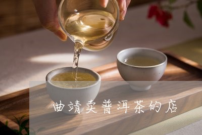 曲靖卖普洱茶的店/2023031878713