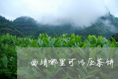 曲靖哪里可以压茶饼/2023041635281