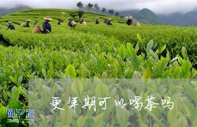 更年期可以喝茶吗/2023032428372