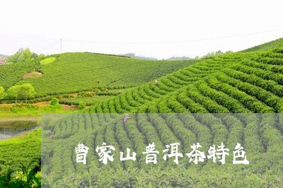 曹家山普洱茶特色/2023040955240