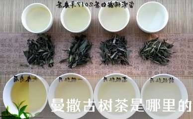 曼撒古树茶是哪里的/2023032181938