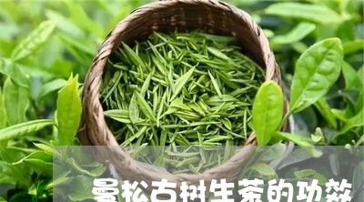 曼松古树生茶的功效/2023041520493