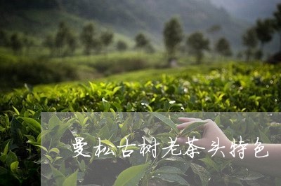 曼松古树老茶头特色/2023041550704