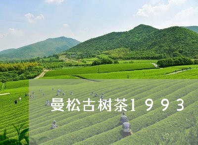 曼松古树茶1993/2023031818159