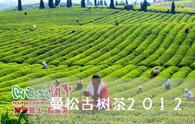 曼松古树茶2012/2023041483716