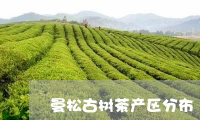 曼松古树茶产区分布/2023041425596