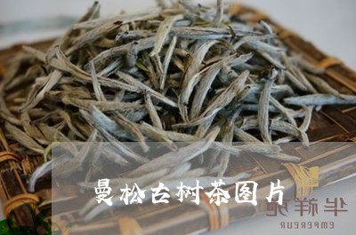 曼松古树茶图片/2023032283058