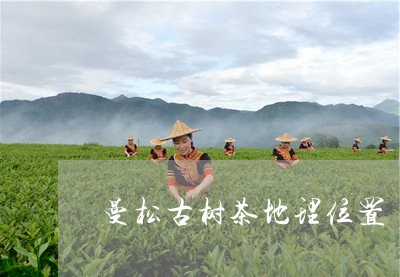 曼松古树茶地理位置/2023041570692