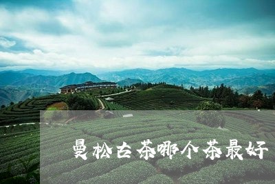 曼松古茶哪个茶最好/2023041428402