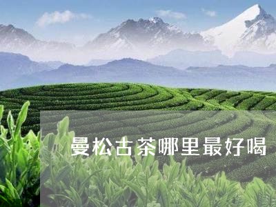 曼松古茶哪里最好喝/2023041569581