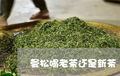 曼松喝老茶还是新茶/2023031837472