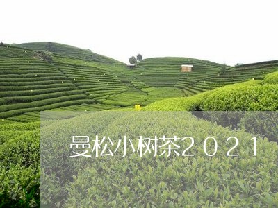 曼松小树茶2021/2023031805037