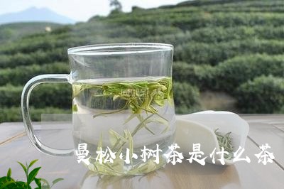 曼松小树茶是什么茶/2023041423058