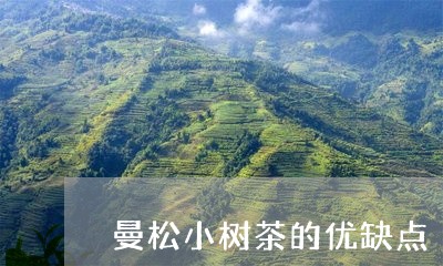 曼松小树茶的优缺点/2023041595168