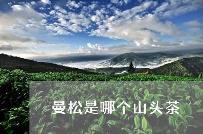 曼松是哪个山头茶/2023032205057