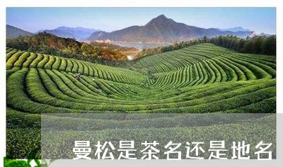 曼松是茶名还是地名/2023031884827