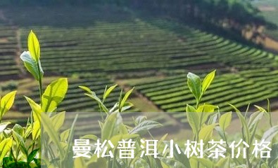 曼松普洱小树茶价格/2023041455240