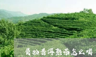 曼松普洱熟茶怎么喝/2023041594047