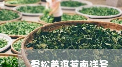 曼松普洱茶南洋号/2023040106592