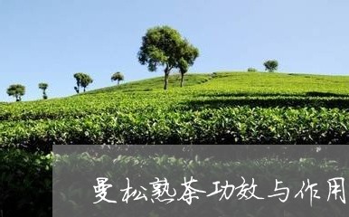 曼松熟茶功效与作用/2023041484814