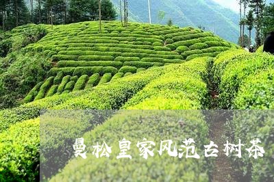 曼松皇家风范古树茶/2023041562948