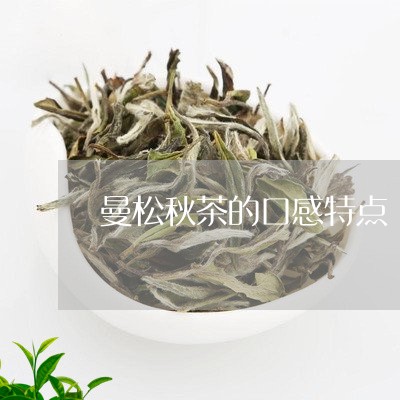 曼松秋茶的口感特点/2023041571817